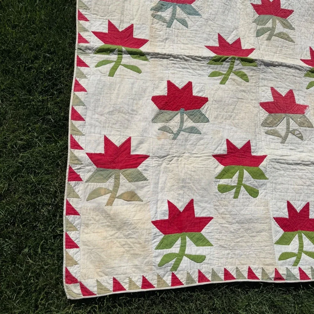 Antique Handmade Floral Applique Quilt Green White Sawtooth Border 53x44 50/60's